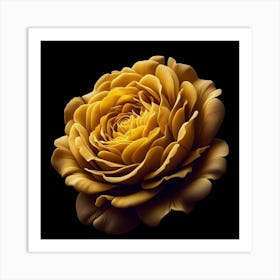 Golden Rose Art Print