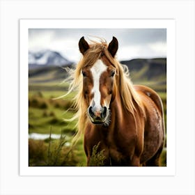 Grass Mane Head Equestrian Horse Rural White Iceland Nature Brown Field Mammal Pony Wil Art Print