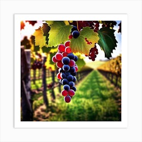 Grapes In The Vineyard 3 Art Print