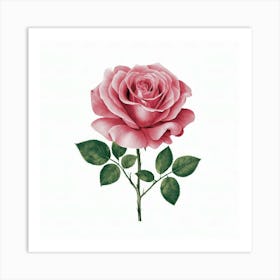 Pink Rose 6 Art Print