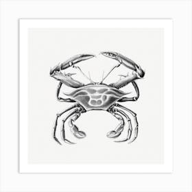 Vintage Crab, Ernst Haeckel Art Print