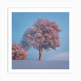 Frosty Trees Art Print