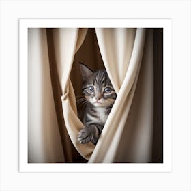 Kitten Peeking Out Of Curtains Art Print