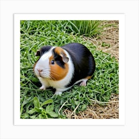 Guinea Pig Rodent Pet Small Furry Cute Fluffy Cavy Herbivore Domesticated Whiskers Ears Art Print