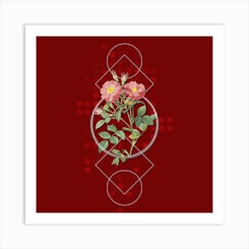Vintage Queen Elizabeth's Sweetbriar Rose Botanical with Geometric Line Motif and Dot Pattern n.0298 Art Print