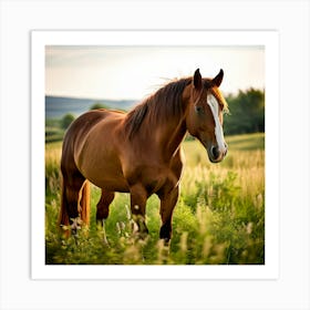 Horse In A Field 10 Art Print