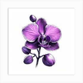 Orchid flower 2 Art Print