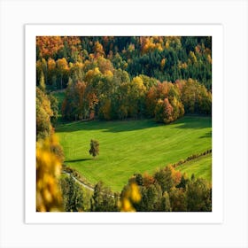 Autumn In The Forest Art Print