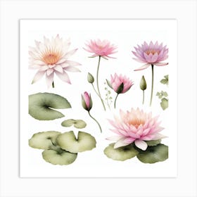 Water lily 3 Art Print