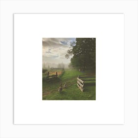 Geese On A Farm Art Print