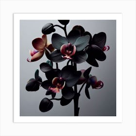 Orchids Art Print