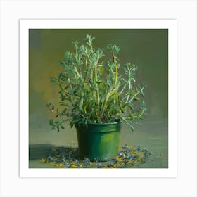 Sage In A Green Pot Art Print