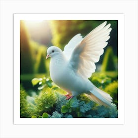 White Dove In The Garden Art Print