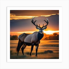 Elk At Sunset 2 Art Print