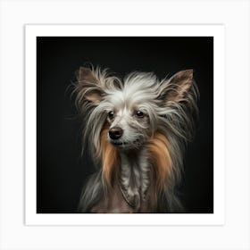 Chihuahua Portrait 4 Art Print