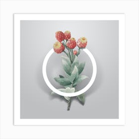 Vintage Cudweeds Minimalist Botanical Geometric Circle on Soft Gray n.0527 Art Print