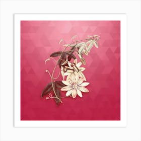 Vintage Mrs. Marryat's Tacsonia Botanical in Gold on Viva Magenta n.0430 Art Print