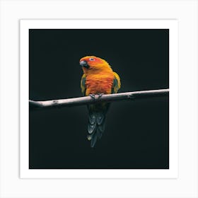 Parrot On A Branch Art Print