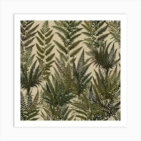 Ferns 10 Art Print