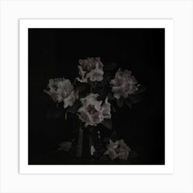 Rhododendrons 2 Art Print