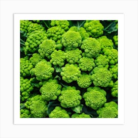 Green Broccoli Art Print