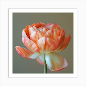 Tulip 1 Art Print