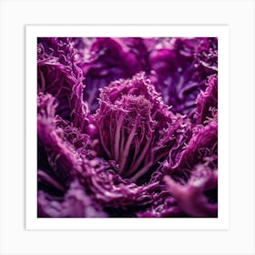 Purple Cabbage 1 Art Print