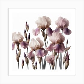 Mauve Flowers of Irise Art Print