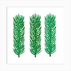 Fir Needles Isolated On White Background Art Print