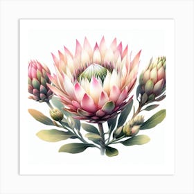 Protea 6 Art Print