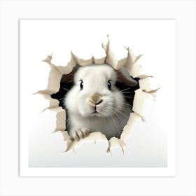 Rabbit Through A Hole 4 Art Print