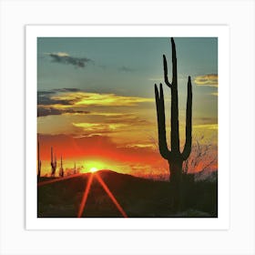 Sunset Over Saguaros Art Print