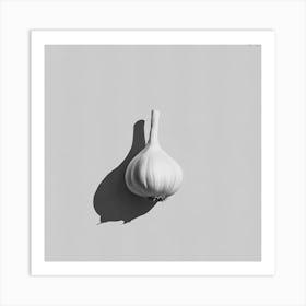 Shadow Of A Garlic Art Print