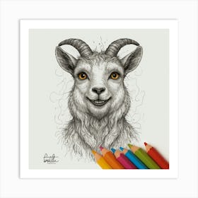 Goat Drawing 6 Art Print