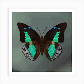 Mechanical Blue Butterfly The Doxocopa Cherubina On A Grey Background Art Print