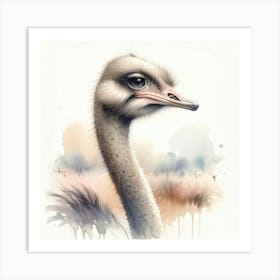 Ostrich Art Print