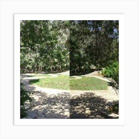 Park Before And After Art Print