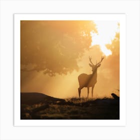 Deer Silhouette In Autumn Forest Art Print