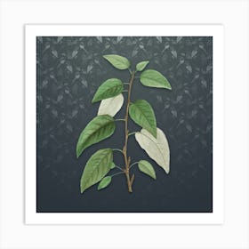 Vintage Balsam Poplar Leaves Botanical on Slate Gray Pattern n.2554 Art Print