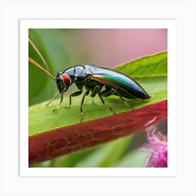 Beetle 37 Art Print