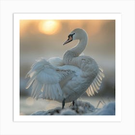 Sunset Swan 1 Art Print