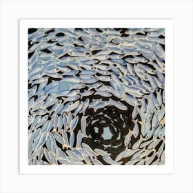 Sardine Art Print