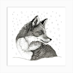 Fox In The Snow Art Print