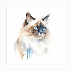 Birman Cat Portrait 3 Art Print