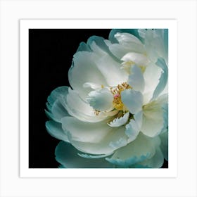 Peonies Aquatic With Overlapping Elements And Unde (1) Art Print