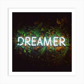 Dreamer 1 Art Print