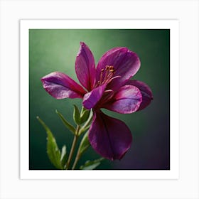 Purple Flower 1 Art Print