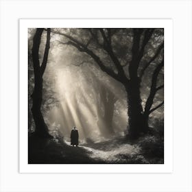 Wanderer’s wood Art Print