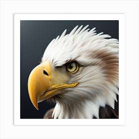 Bald Eagle Art Print