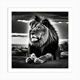 Lion12 Art Print